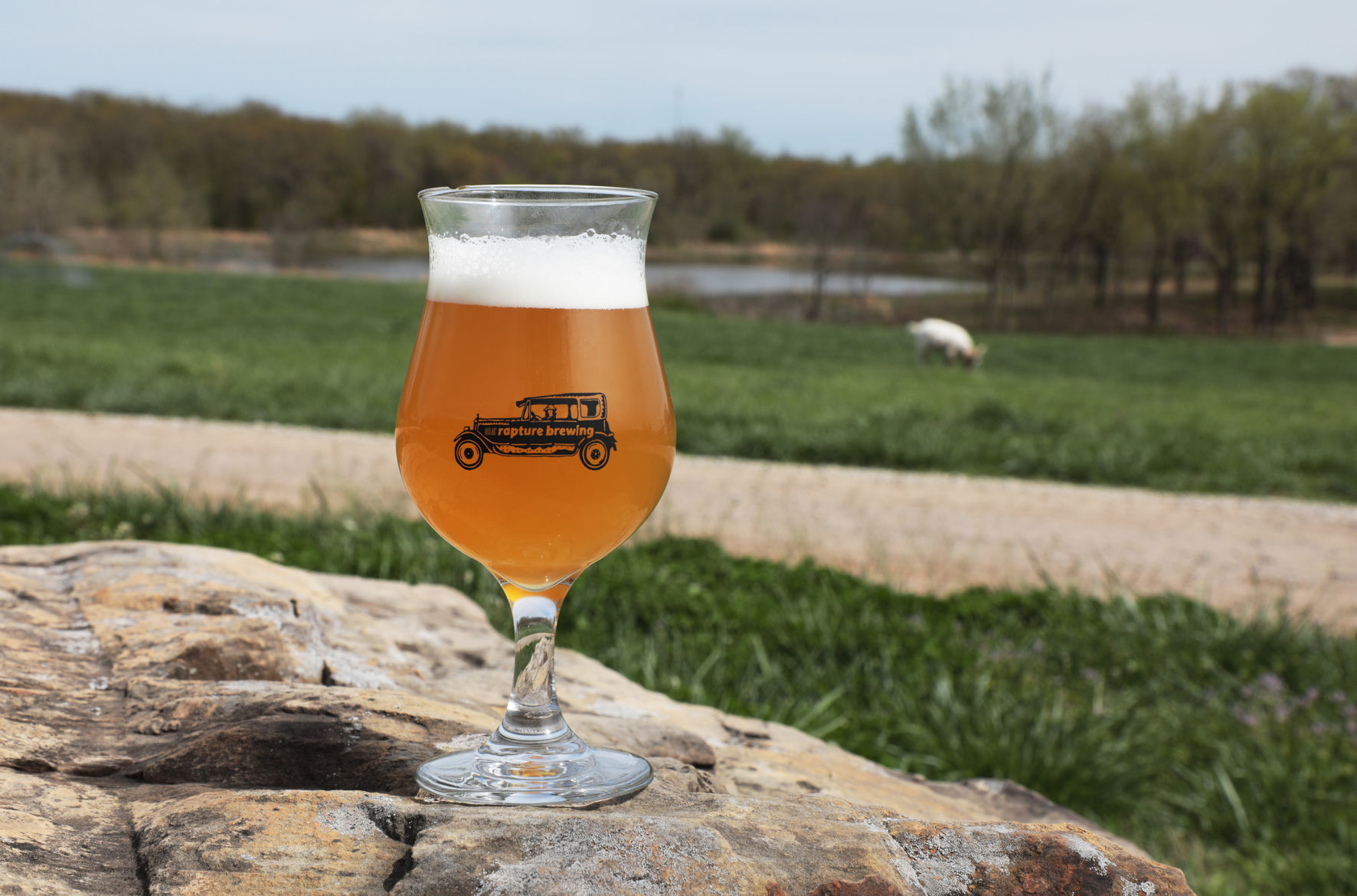 Rapture Brewing